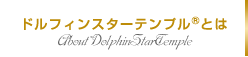 ドルフィンスターテンプルとは